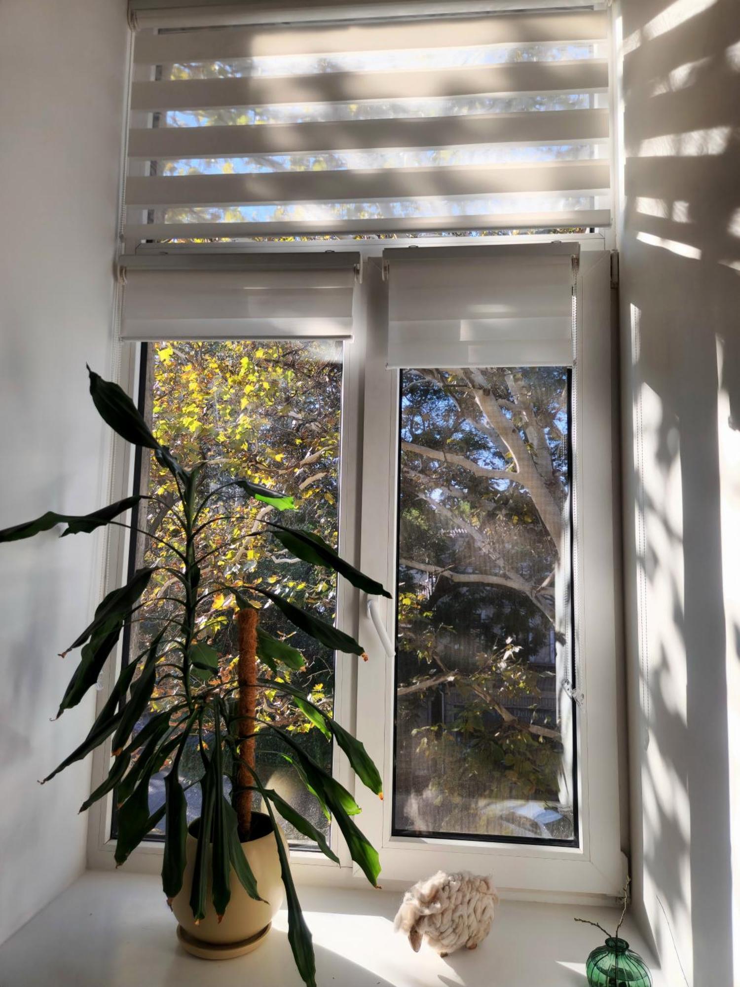 Scandi Group Apartaments Odessa Zimmer foto